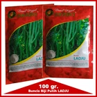 Seeds of Phaseolus Vulgaris white beans LADJU 1