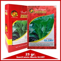 Benih caisim GLORY 25 gr.