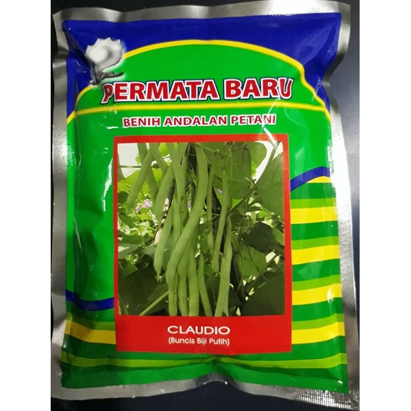 Benih Buncis biji Putih "CLAUDIO" 500 gr.