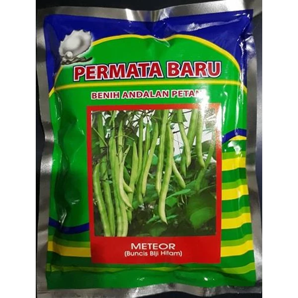 Benih Buncis biji hitam "METEOR" 500 gr.