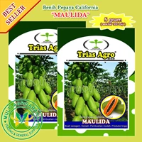 Benih Pepaya California MAULIDA 5 gr.