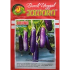 Purple Eggplant Seeds 