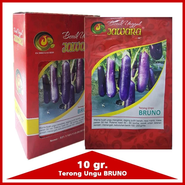 Purple Eggplant Seeds "Bruno" 